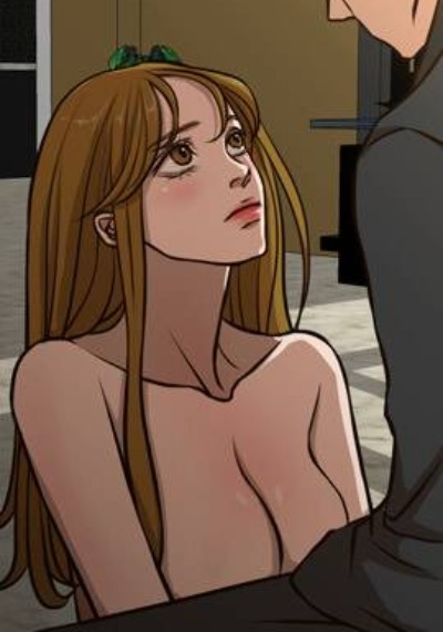 完结漫画：钢之炼金术师